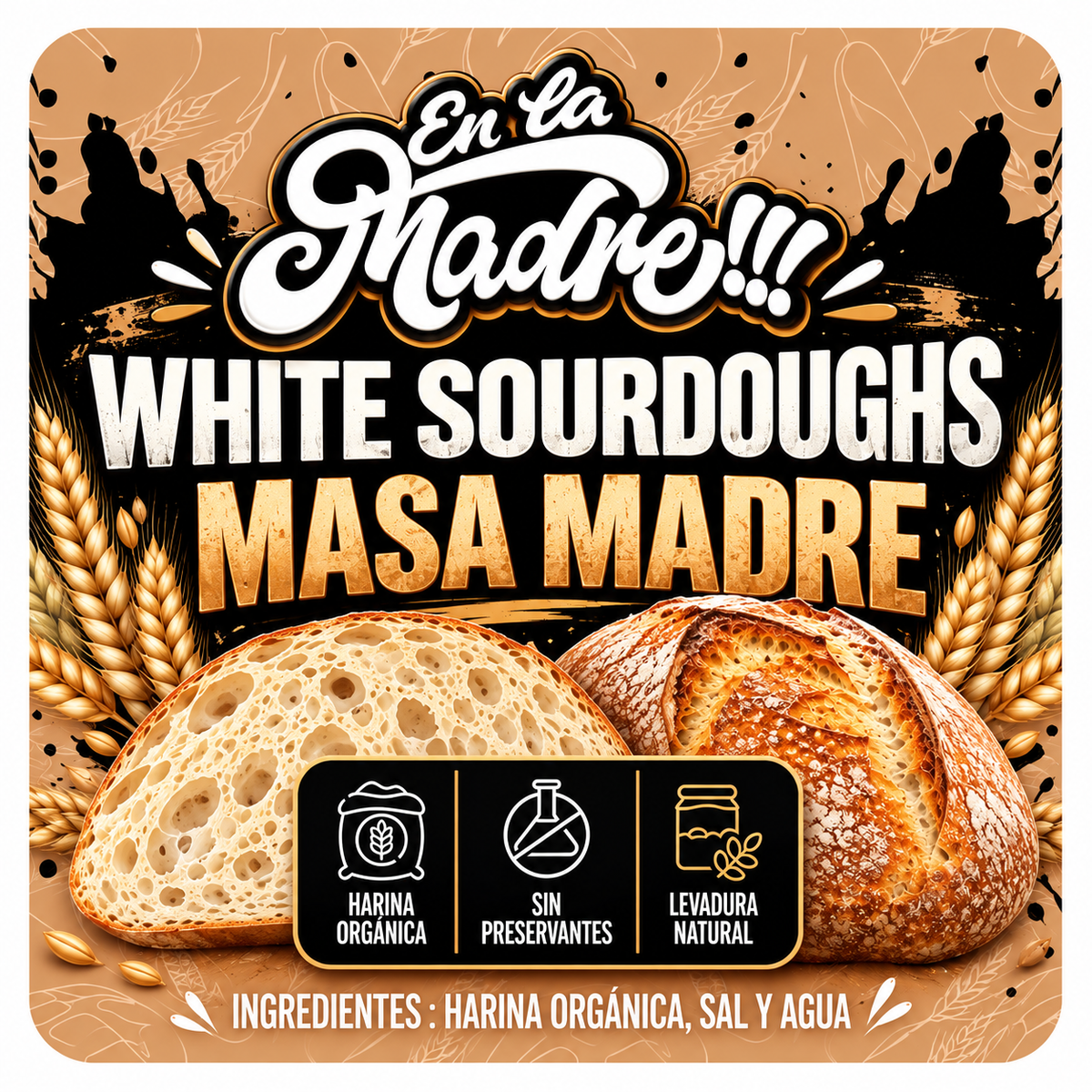 Pan Masa Madre
