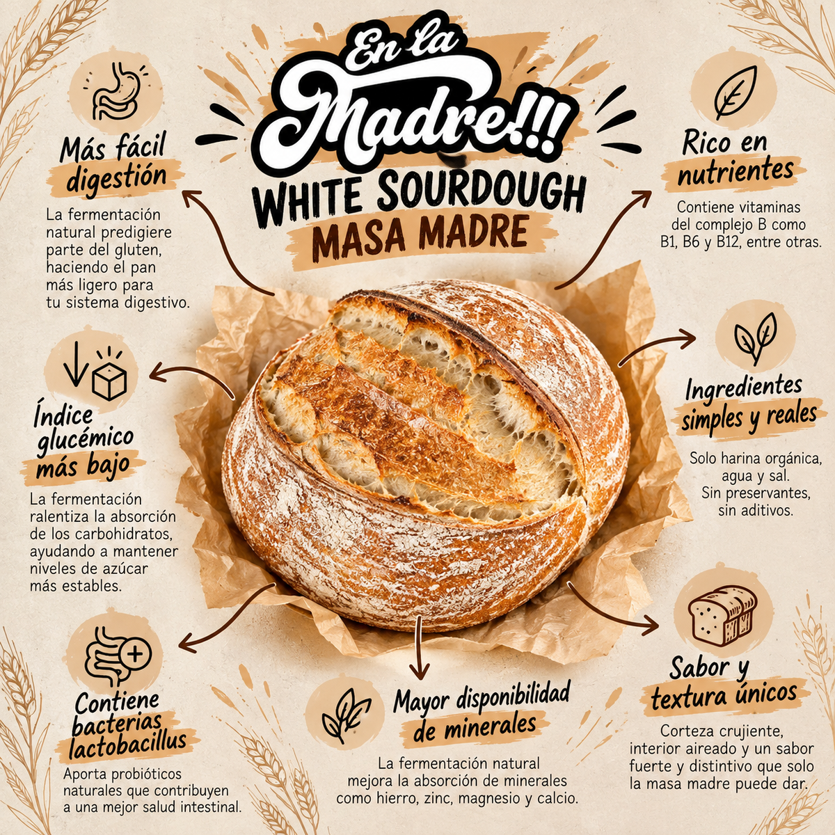 Pan Masa Madre